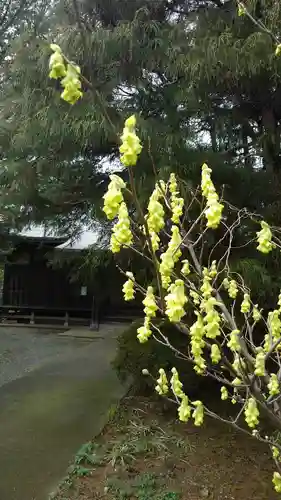 宝性院のその他建物