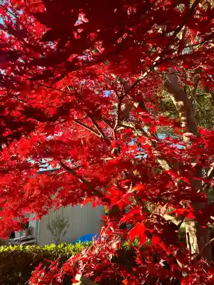 宝来山神社(和歌山県)