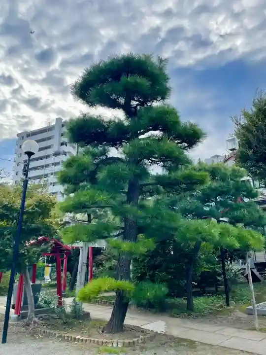 中田出世稲荷神社(東京都)