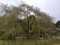 足羽神社(福井県)