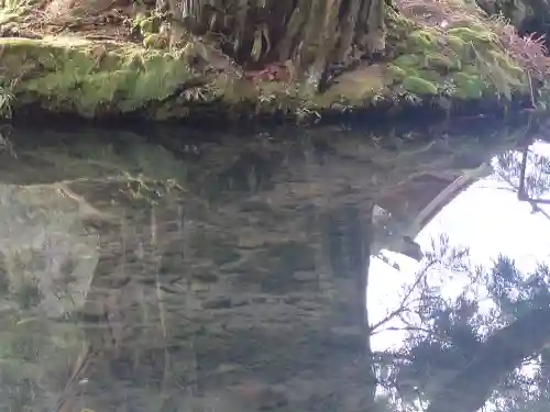 一本杉神社(島根県)