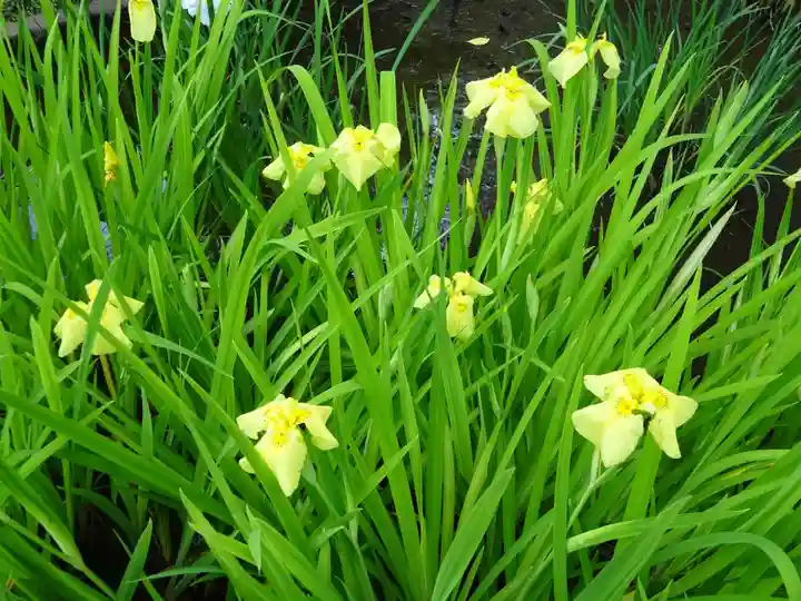 天台宗 長窪山 正覚寺の自然