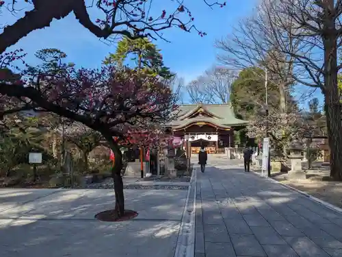布多天神社(東京都)