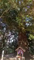 雙栗神社(京都府)