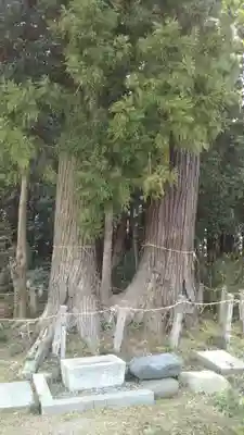 鹿嶋高房神社のその他建物