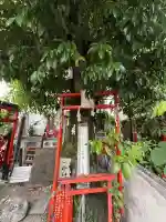 中浜稲荷神社の{uncategorized: "未分類", other: "その他", undefined: "問題あり", building: "その他建物", grave: "お墓", sacred_gate: "鳥居", guardian: "狛犬", statue: "像", buddha: "仏像", history: "歴史", nature: "自然", garden: "庭園", animal: "動物", pagoda: "塔", temizu: "手水舎", mountain_gate: "山門・神門", sanctuary: "本殿・本堂", subordinate: "末社・摂社", art: "芸術", scenery: "景色", jizo: "地蔵", ema: "絵馬", goshuin: "御朱印", omikuji: "おみくじ", items: "授与品その他", amulet: "お守り", goshuincho: "御朱印帳", eats: "食事", festival: "お祭り", votive_dance: "神楽", shichigosan: "七五三参", wedding: "結婚式", experience: "体験その他", initially: "初詣", around: "周辺", anti_infection: "感染症対策"}