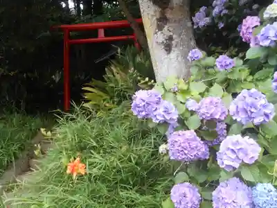 須磨稲荷大明神・和佐稲荷大明神の自然