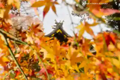鷲宮神社(埼玉県)