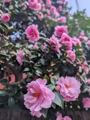 穏田神社(東京都)