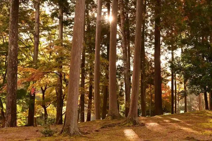 神護寺(京都府)