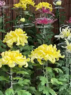 城南宮(京都府)