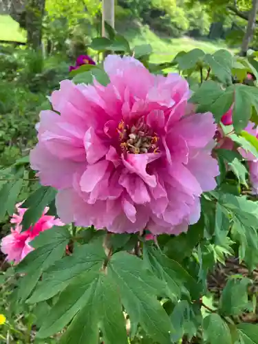 遠照寺(長野県)