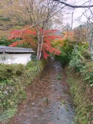 金剛院(京都府)