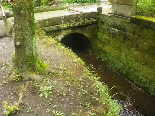 明月院の庭園