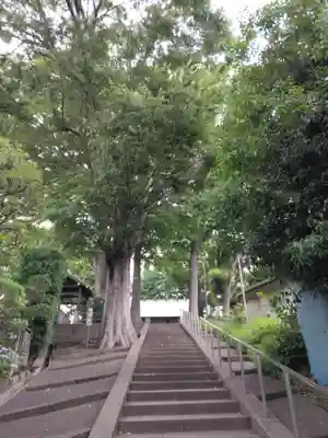 六角橋杉山大神(神奈川県)
