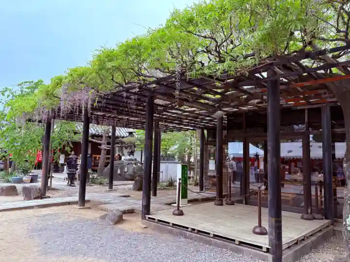 葛井寺の{uncategorized: "未分類", other: "その他", undefined: "問題あり", building: "その他建物", grave: "お墓", sacred_gate: "鳥居", guardian: "狛犬", statue: "像", buddha: "仏像", history: "歴史", nature: "自然", garden: "庭園", animal: "動物", pagoda: "塔", temizu: "手水舎", mountain_gate: "山門・神門", sanctuary: "本殿・本堂", subordinate: "末社・摂社", art: "芸術", scenery: "景色", jizo: "地蔵", ema: "絵馬", goshuin: "御朱印", omikuji: "おみくじ", items: "授与品その他", amulet: "お守り", goshuincho: "御朱印帳", eats: "食事", festival: "お祭り", votive_dance: "神楽", shichigosan: "七五三参", wedding: "結婚式", experience: "体験その他", initially: "初詣", around: "周辺", anti_infection: "感染症対策"}