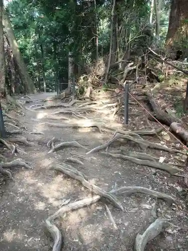 鞍馬寺の自然