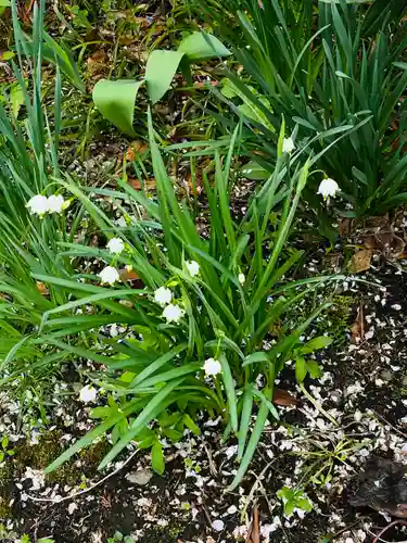 長光寺(長野県)
