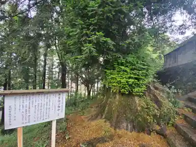 無量院（蓮華寺）の自然