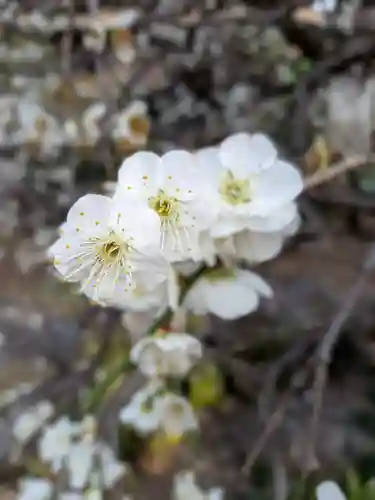 松應寺(東京都)