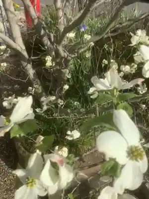 八島稲荷神社の自然