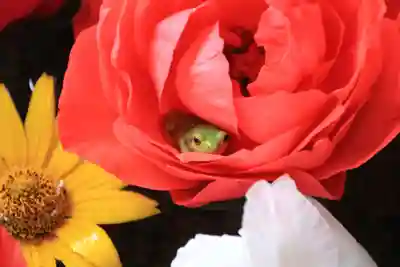 田村神社の手水舎