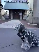 住吉神社 勝どき御旅所(東京都)