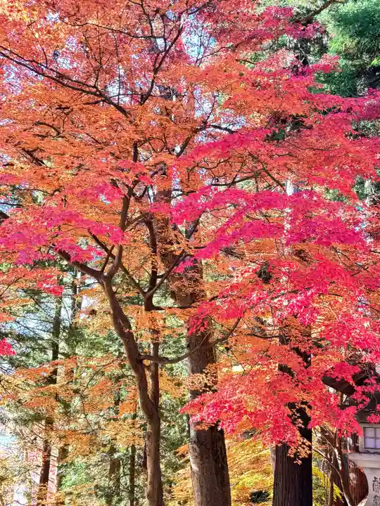 日枝神社(岐阜県)