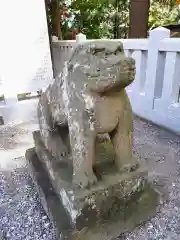 八幡神社の狛犬