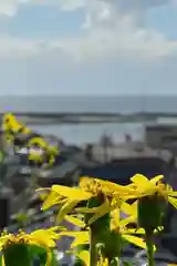 白山媛神社(新潟県)