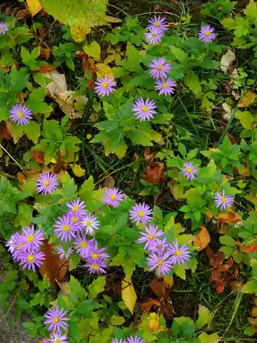 徳泉寺(宮城県)