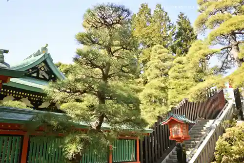穴八幡宮(東京都)