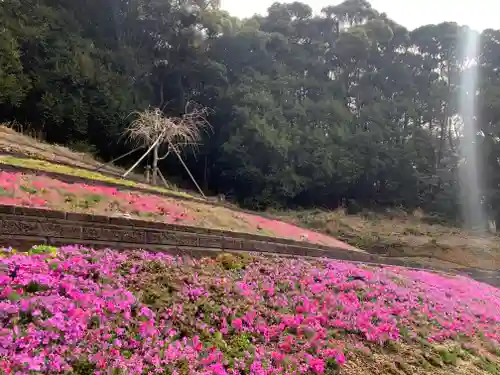 普門寺(切り絵御朱印発祥の寺)(愛知県)