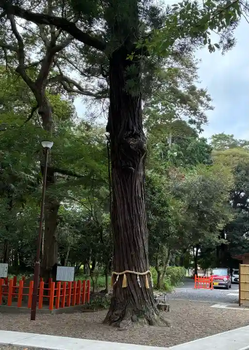 息栖神社(茨城県)