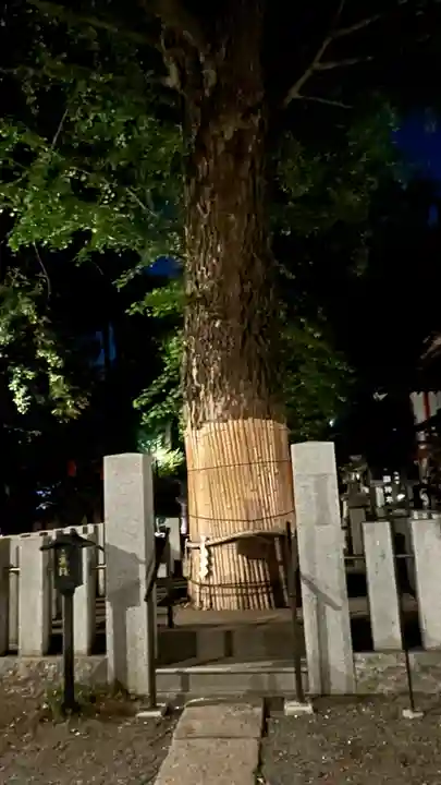 田無神社(東京都)