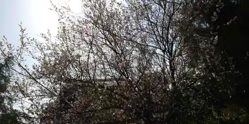 出雲大神宮のその他建物