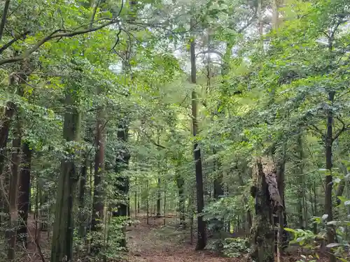 氏之宮三島神社(愛媛県)
