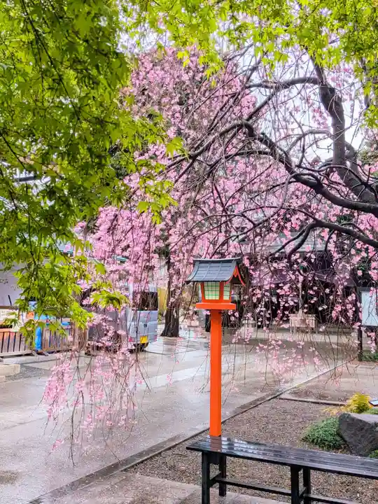 猿田彦神社(東京都)