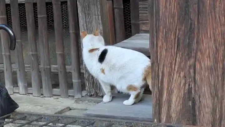 行願寺(革堂)(京都府)