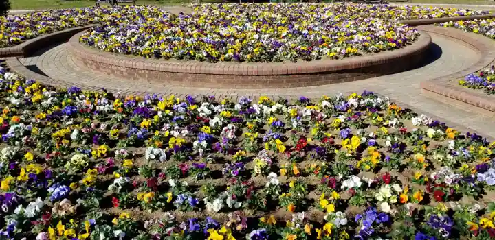 庚申神社(千葉県)