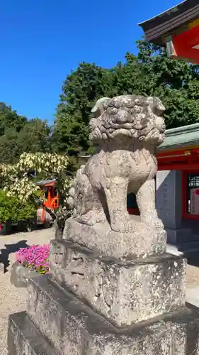 多治速比売神社の狛犬