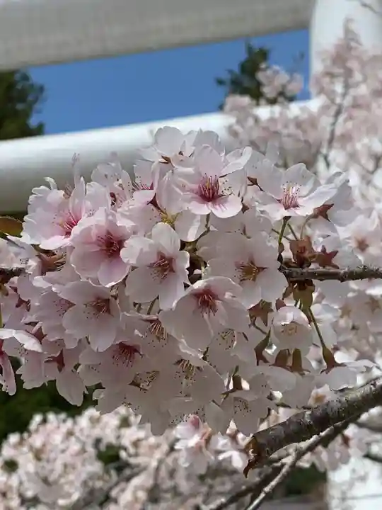 土津神社|こどもと出世の神さまの自然