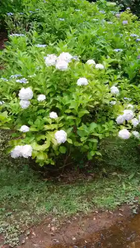 天台宗　長窪山　正覚寺の自然