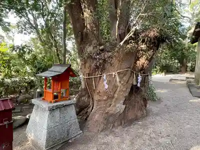 津八幡宮(三重県)