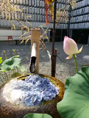 下高井戸八幡神社(東京都)