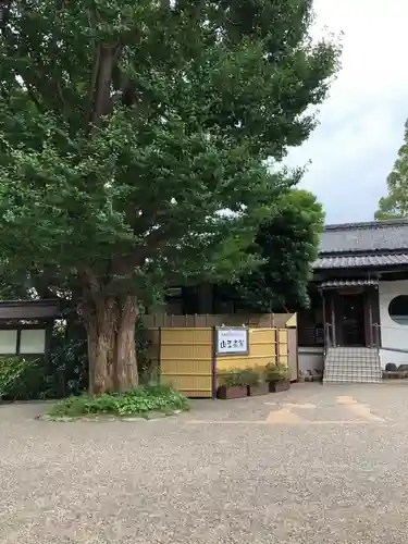 日枝神社の食事