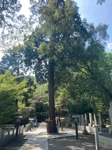 石鎚神社 口之宮 本社(愛媛県)
