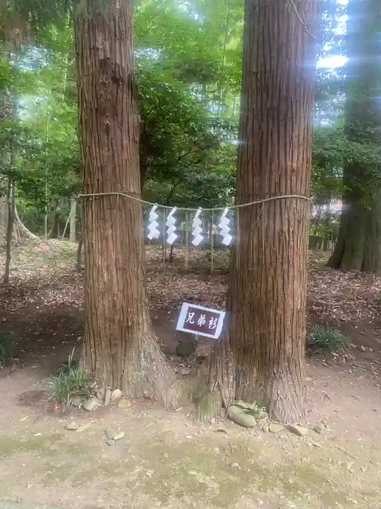 宮原八幡宮(栃木県)