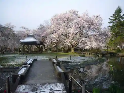 伊佐須美神社の庭園