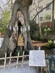 秩父今宮神社(埼玉県)